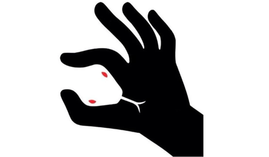 Psychotest. Co widzisz na obrazku - wu0119u017ca czy du0142ou0144?