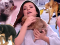 Katarzyna Cichopek w "Pytaniu na u015aniadanie" i inne wpadki w telewizji