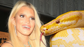 Jessica Simpson