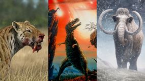 tygrys szablozu0119bny, dinozaury, mamut - quiz z historii u017cycia na Ziemi