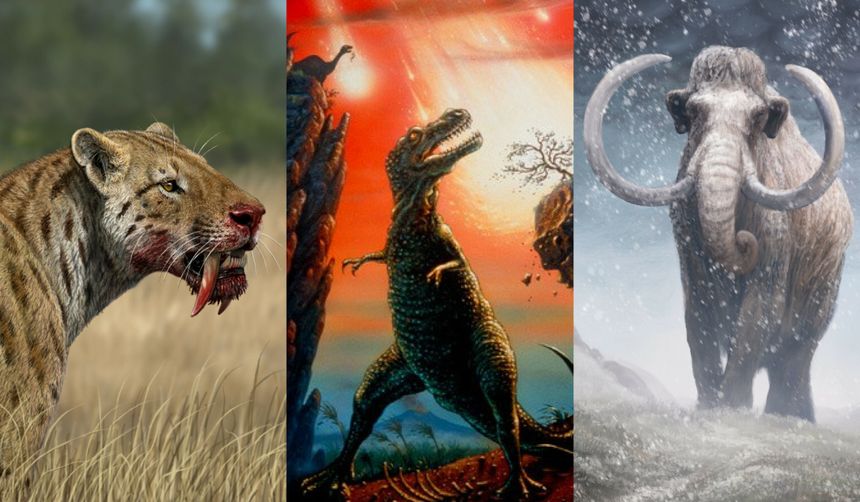 tygrys szablozu0119bny, dinozaury, mamut - quiz z historii u017cycia na Ziemi