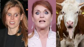 Sarah Ferguson zamieszka w oborze?! Dramat byłej żony księcia Andrzeja