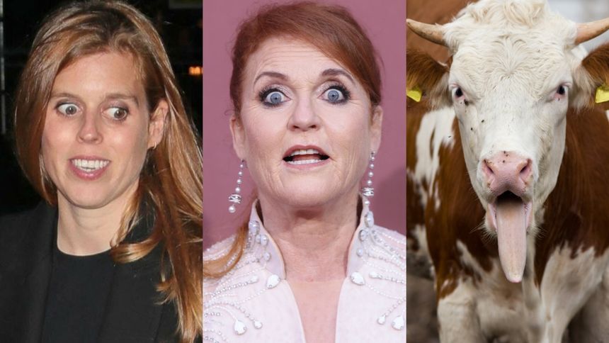 Sarah Ferguson zamieszka w oborze?! Dramat byłej żony księcia Andrzeja