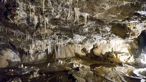 Jaskinia Niedźwiedzia w Kletnie – jedna z najpiękniejszych w Polsce