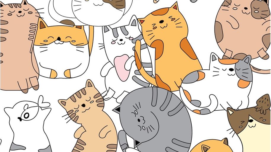 Obrazek z kotami