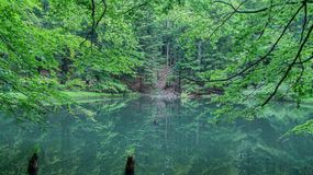 Jeziorka Duszatyńskie to klejnot Bieszczad. Odwiedzał je Karol Wojtyła