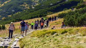 Turyści na Hali Gąsienicowej