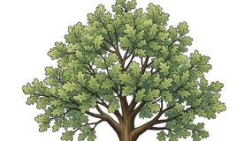 Test IQ. Co tu nie pasuje?