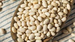 Fasola biała chroni przed rakiem i miażdżycą. Wystarczy garść