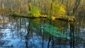 Rezerwat Niebieskie Źródła