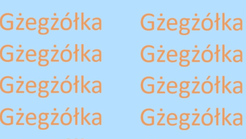Optyczna łamigłówka IQ. Znajdź błędnie zapisane słowo GŻEGŻÓŁKA