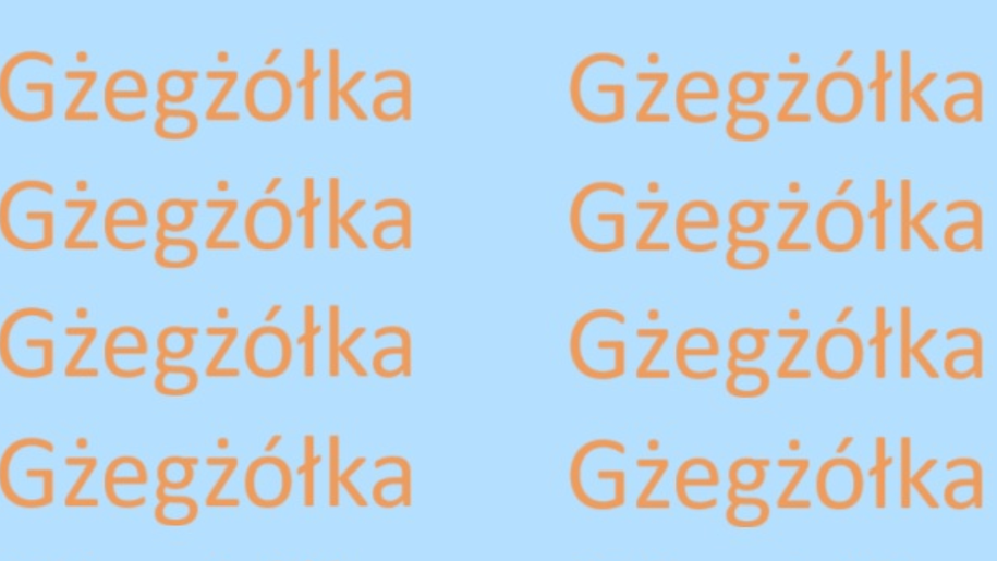 Optyczna łamigłówka IQ. Znajdź błędnie zapisane słowo GŻEGŻÓŁKA