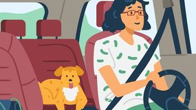 Znajdź błąd na obrazku. Test IQ z samochodem