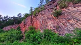 Organy Wielisławskie