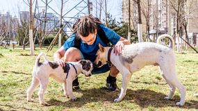 Czy twój pies jest zazdrosny o inne zwierzęta? Dorota Sumińska mówi