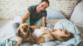 Para z psem w łóżku