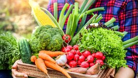 Najzdrowsze warzywa świata