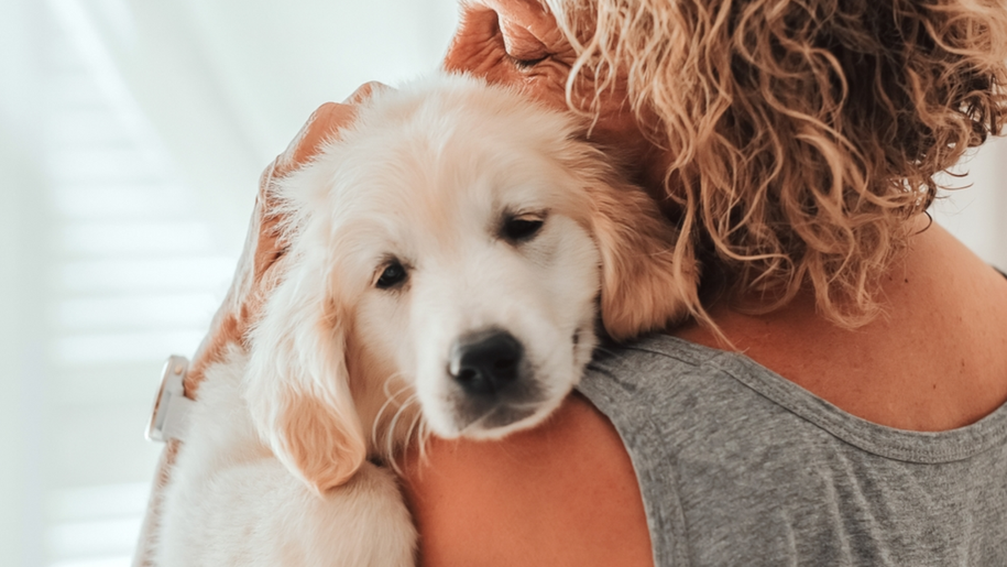 Czy pies wyczuwa chorobę u człowieka? Dorota Sumińska odpowiada