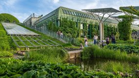 Ogród Biblioteki Uniwersyteckiej na liście najpiękniejszych Guardiana