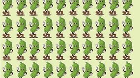 Zagadka IQ. Znajdź innego ogórka