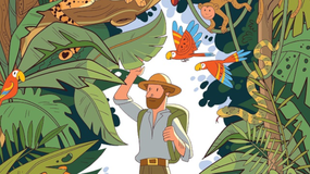 Logiczny test IQ. Gdzie jest ważka? Znajdź owada w 5 sekund