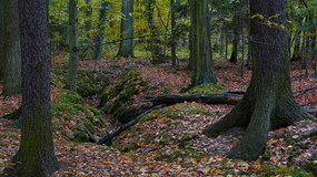 Rezerwat Grapa otwarty dla turystów po 29 latach. "To wielki dzień"