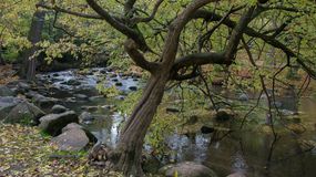 Dolina Elfów w Gdańsku Oliwie