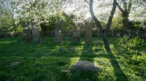 Cmentarz Jedenastu Wsi