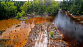 Zatopiony las w Kopalni Babina