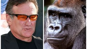 Robin Williams z Koko