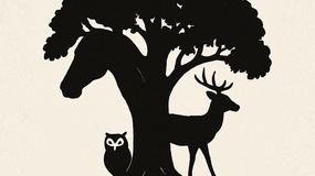 Psychotest obrazkowy ujawni twoją osobowość