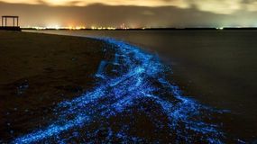 Niebieska plaża na Malediwach