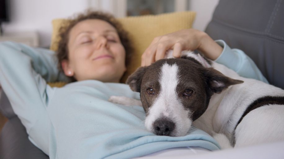 Kobieta z psem podczas drzemki w dzień