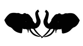 Psychotest: Co widzisz na obrazku?