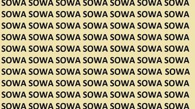 Znajdź błędnie zapisane słowo SOWA