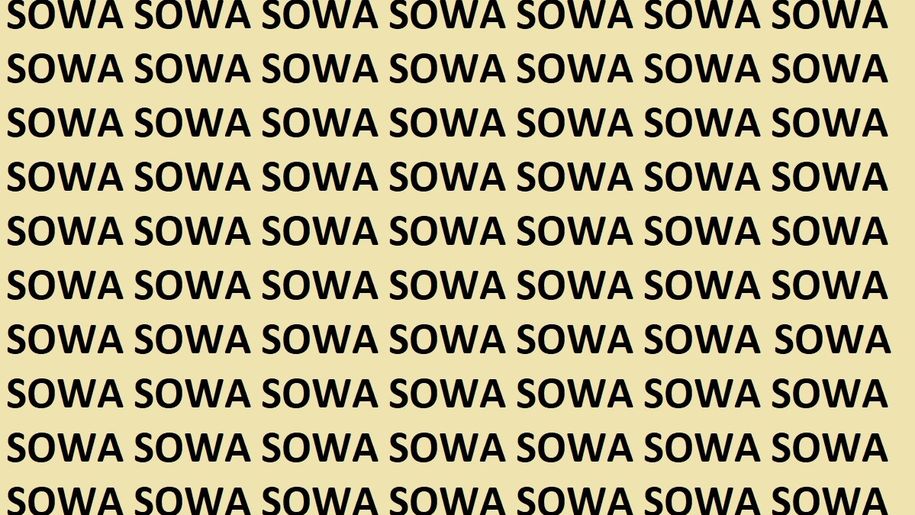 Znajdź błędnie zapisane słowo SOWA