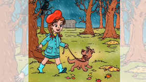 Co nie zgadza się na obrazku?