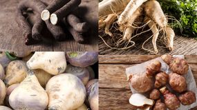 Topinambur, wężymord, brukiew i pasternak