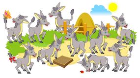 Które osiołki są identyczne?