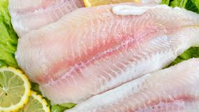 Karmazyn to najzdrowsza ryba na świecie. Polacy rzadko go kupują