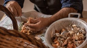 Jak czyścić grzyby? Kurki, maślaki, prawdziwki