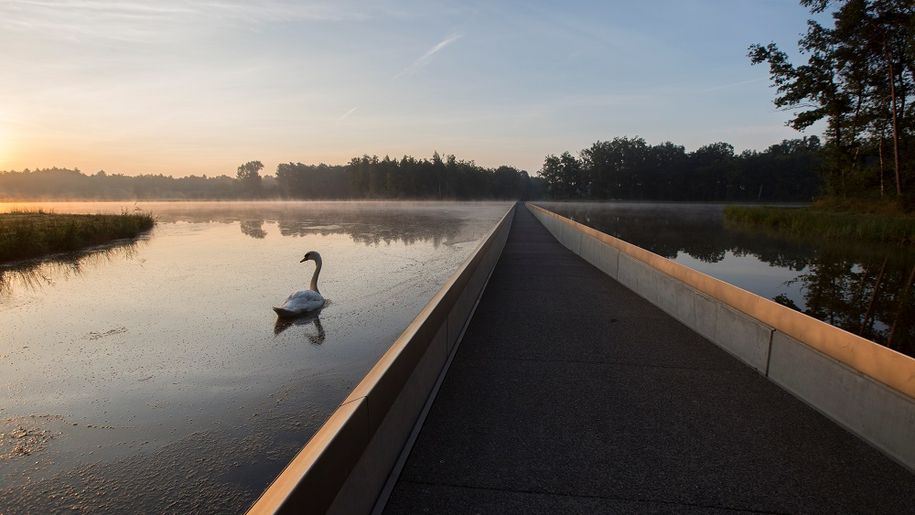 Ścieżka rowerowa w Bokrijk w Belgii