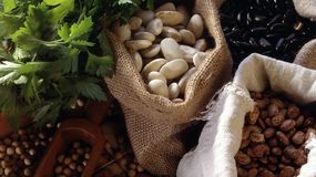 Różne rodzaje fasoli w workach