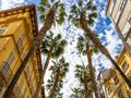 Malaga