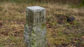 Zgubiłeś się w lesie? Słupek oddziałowy określi twoje położenie