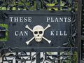 The Poison Garden: ogród botaniczny, który może zabić