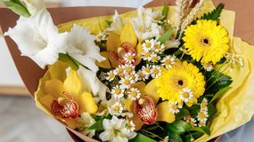 Co oznaczają żółte kwiaty? Ich symbolika może cię zaskoczyć