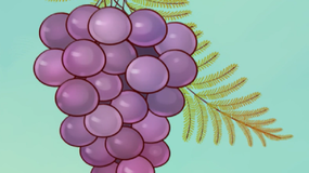 Test logiczny IQ. Znajdź błąd na obrazku z winogronem w 5 sekund