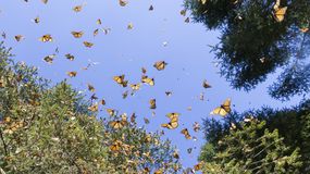 Roztoczański Park Narodowy to idealne miejsce na letnią wyprawę