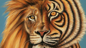 Psychotest. Co widzisz najpierw? Ta iluzja ujawnia twój charakter